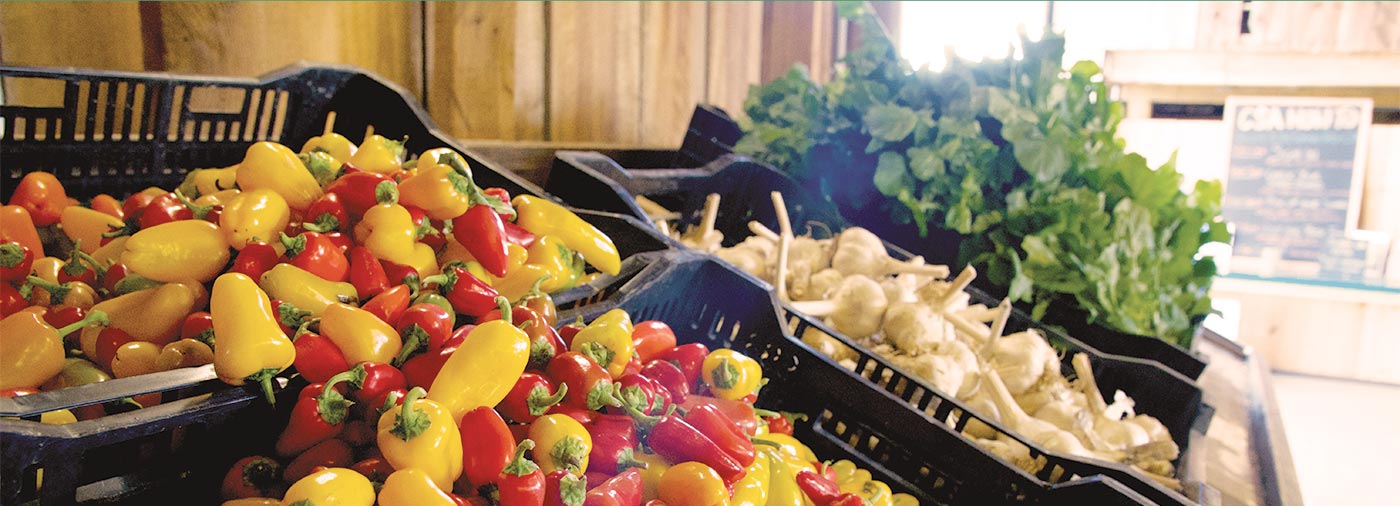 Gorman Produce Farm CSA Howard County Maryland