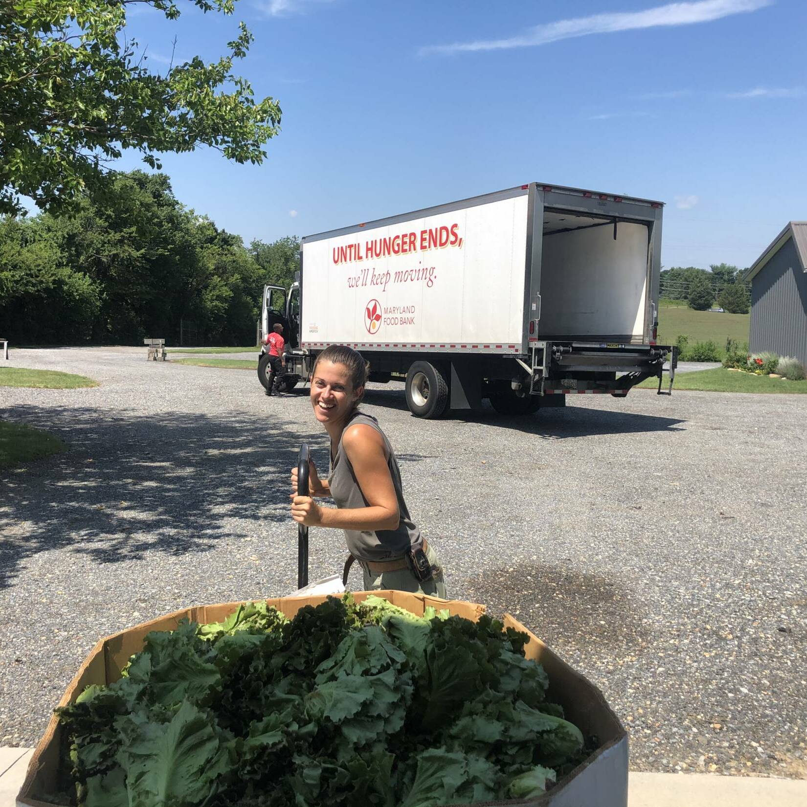 MD Food Bank MD Food Bank